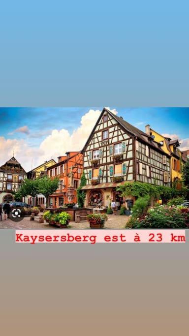La Grange Proche D'Europapark Apartment Kunheim Exterior photo